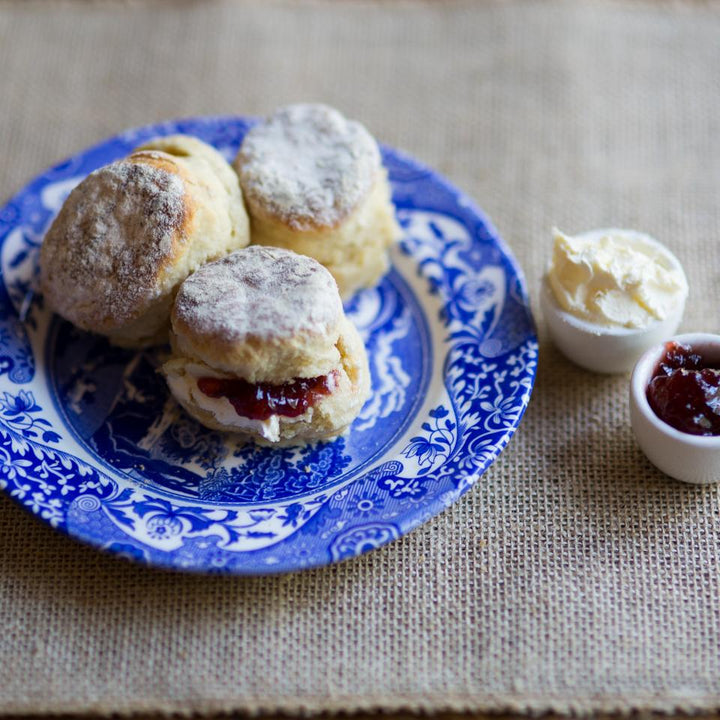Plain Scones